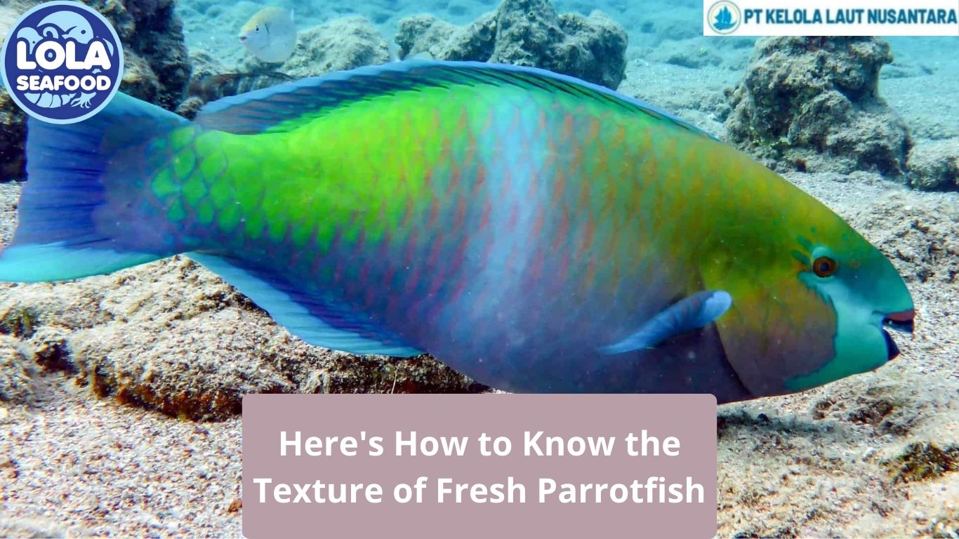 Here's How to Know the Texture of Fresh Parrotfish